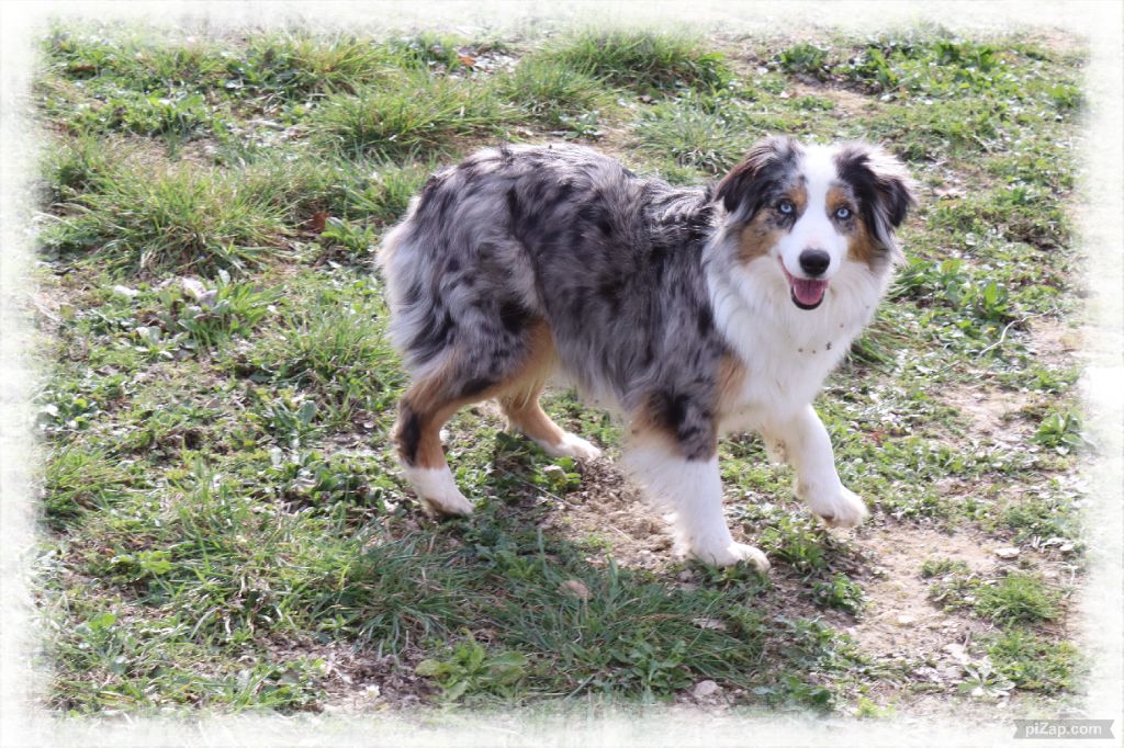 Totale eclips angel mazekeen Of Brotherly Love B